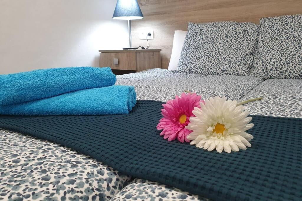 Apartamento Eucalipto Mozaga المظهر الخارجي الصورة